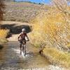 Creek crossing along the Coyote Valley Road.