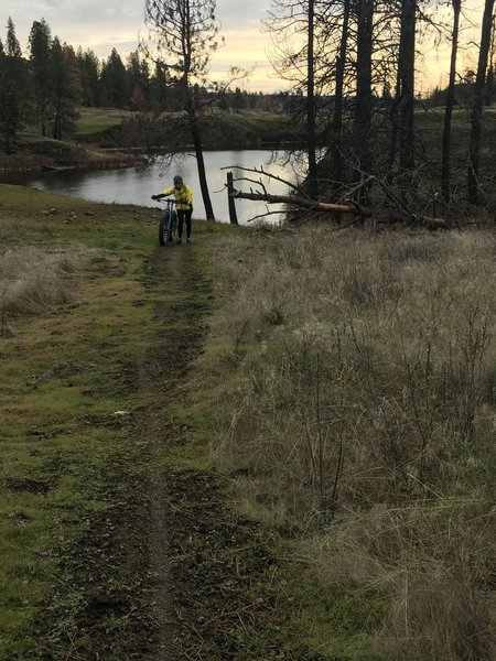 Singletrack snaking through the burn area. Fun and scenic section.