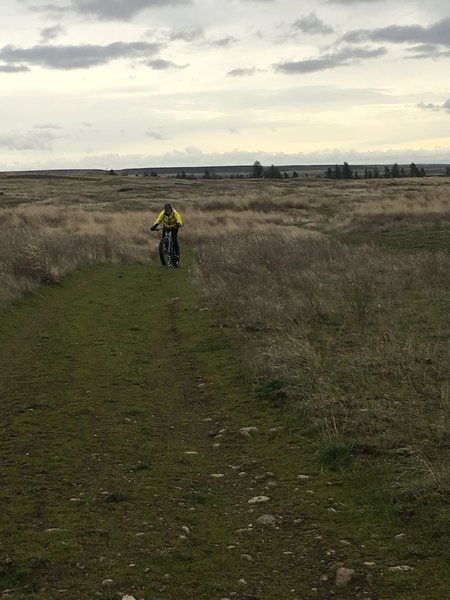 This far section of the trail changes to wide open vistas.