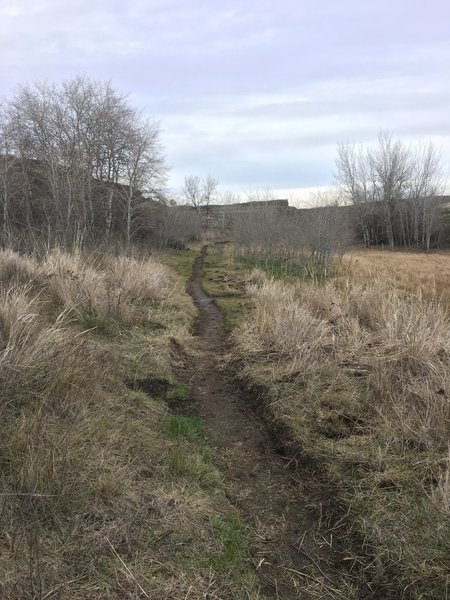 More of the newly made singletrack trail. Just beyond here, the singletrack will cross an old grass covered jeep trail. Look to your right down the road for the new singletrack trail continuing on the opposite side.