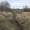 More of the newly made singletrack trail. Just beyond here, the singletrack will cross an old grass covered jeep trail. Look to your right down the road for the new singletrack trail continuing on the opposite side.