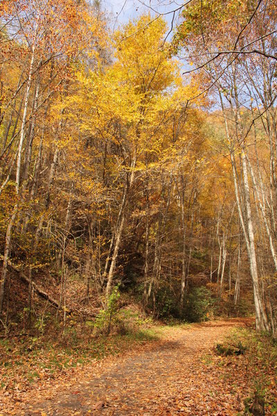 Virginia Creeper Trail in the fall.