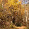 Virginia Creeper Trail in the fall.