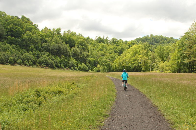 Crusing along the Virginia Creeper Trail.