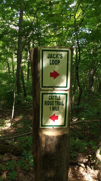 Cattle Ridge Trail sign post.