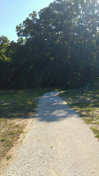 Near Jack's Loop Trailhead.