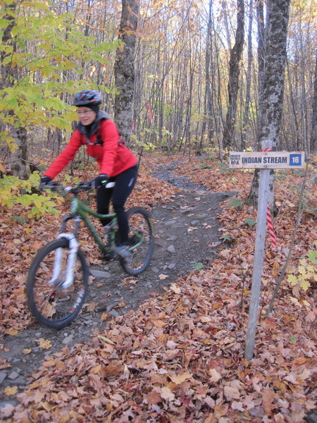 The west end of the Indian Stream Trail.