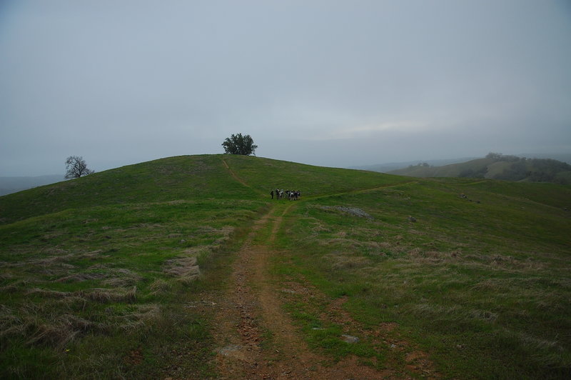 Wide open fields near Steer Ridge.