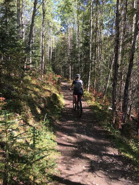 Low down on the Crescent Lake Trail.