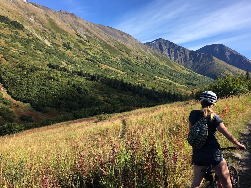 Taking a break and enjoying the views of this Alpine Meadow.