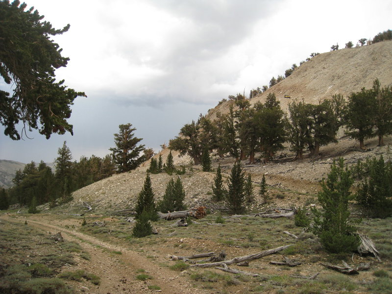 Climbing along White Mountain Road.