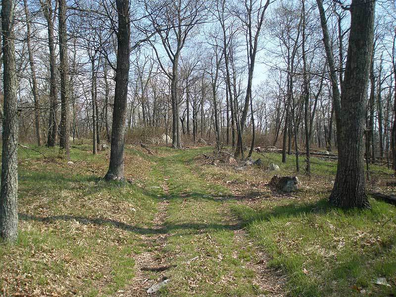 A good example of the Little Sluice Mountain Trail.