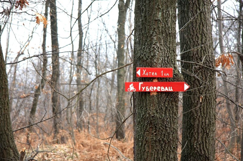 Trail signs along the Baberijus trail.