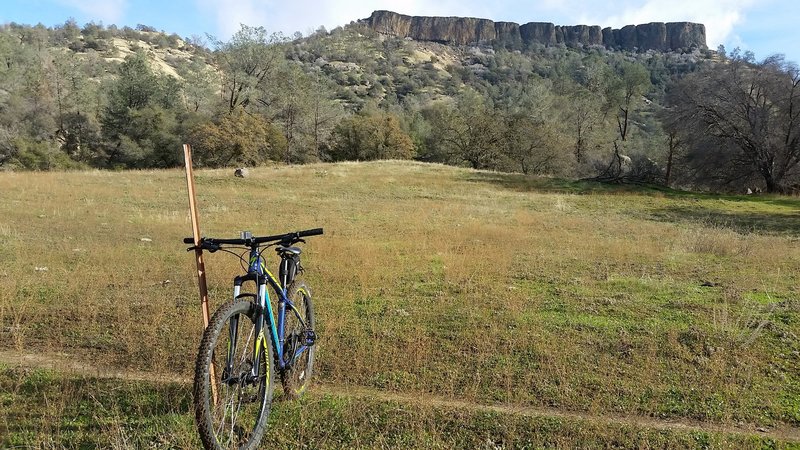 Table Mountain meadow.