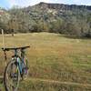 Table Mountain meadow.