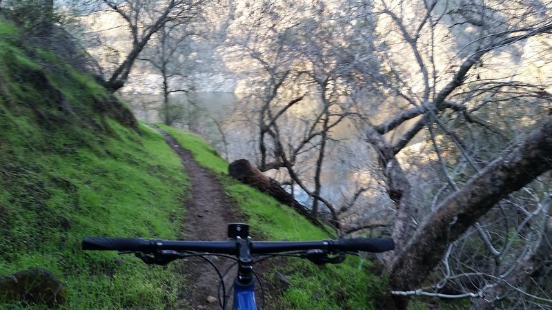 The trail can be super green in the winter. (December 2016).