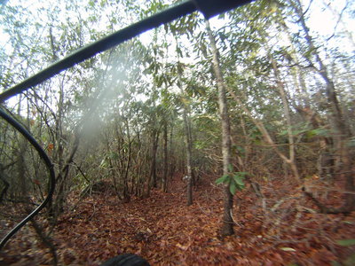 Tight singletrack makes for a fun ride on Jesse Branch Connector.