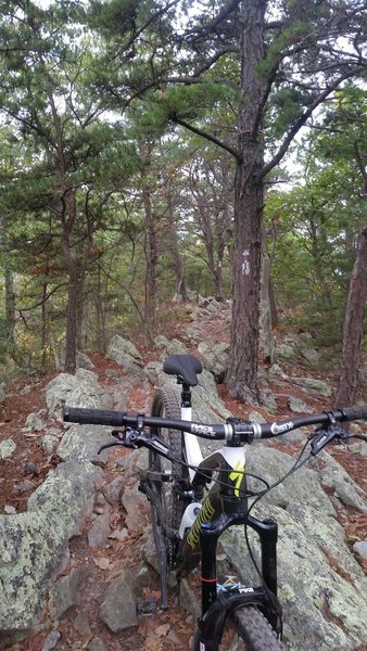 Plenty of gnar awaits on Buzzard Rocks.