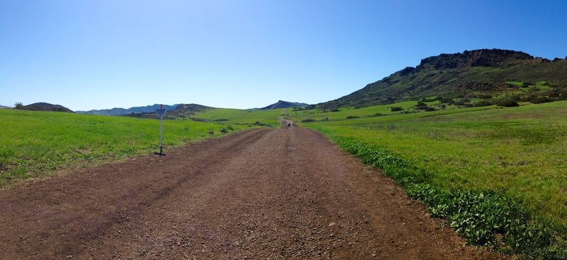 On the Mesa Trail, you can clearly see Lizard Rock straight ahead in the distance.