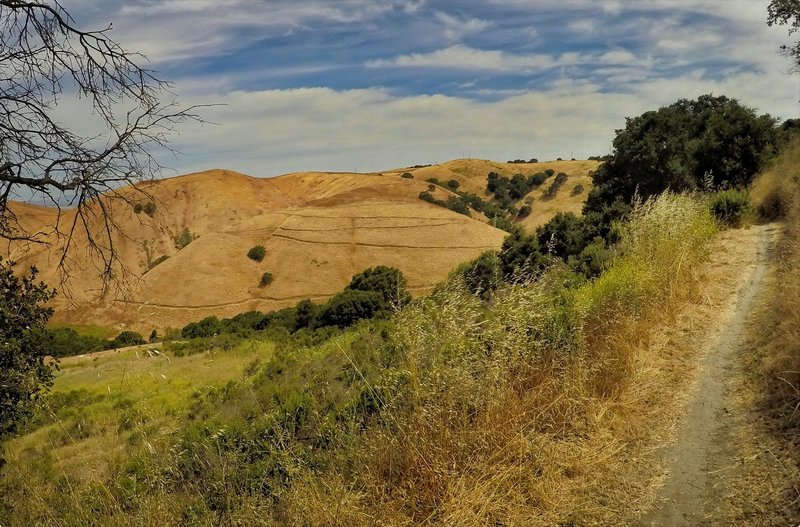 A view of the Sugar City Trail - At least 30 little jumps on the side of that hill!