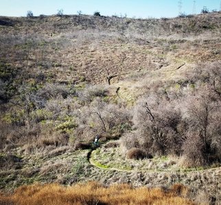 Can you spot me? I'm heading up!