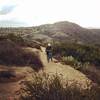 A rider wheelies a buffed section of the Cholla Trail in Aliso and Wood Canyons Regional Park.