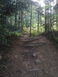 Descend counterclockwise from the road down to the lake, jump over roots, turn, and jump the next set. Check for foot traffic first so you don't kill some fisherman walking back to his car.