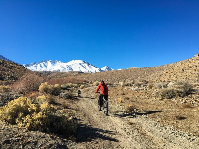 Climbing along Little Pine Creek affords gorgeous views of the snowy Sierra.