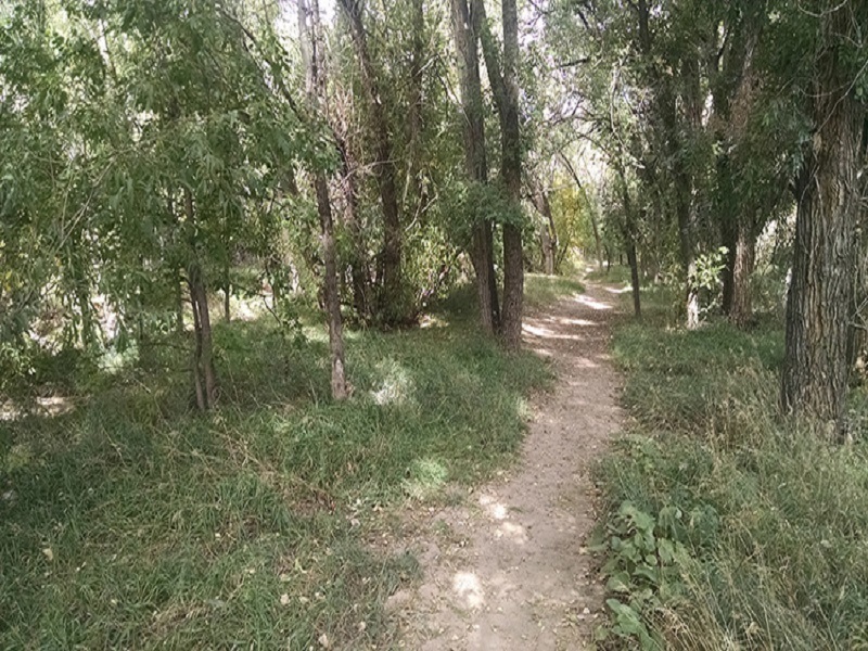 By the hobo camp, the Shooks Run Trail runs smooth and obstacle-free.