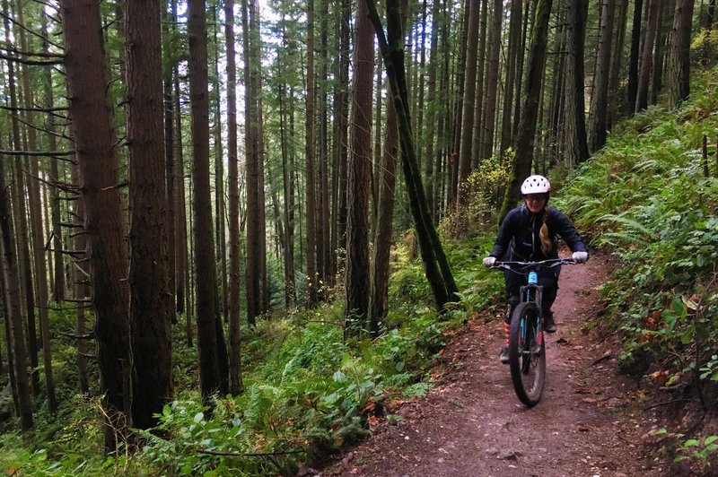 Pedaling along the Bonnie and Clyde's Trail at Little Mountain Park, Mount Vernon, WA.