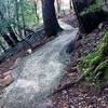 Recent "improvements" to the Saratoga Gap Trail.