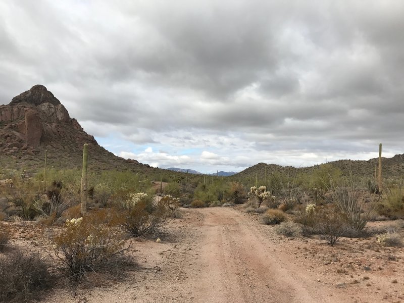 Heading out to North Ajo Peak.