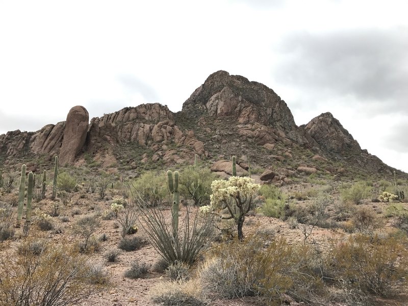 North Ajo Peak.