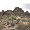 North Ajo Peak.