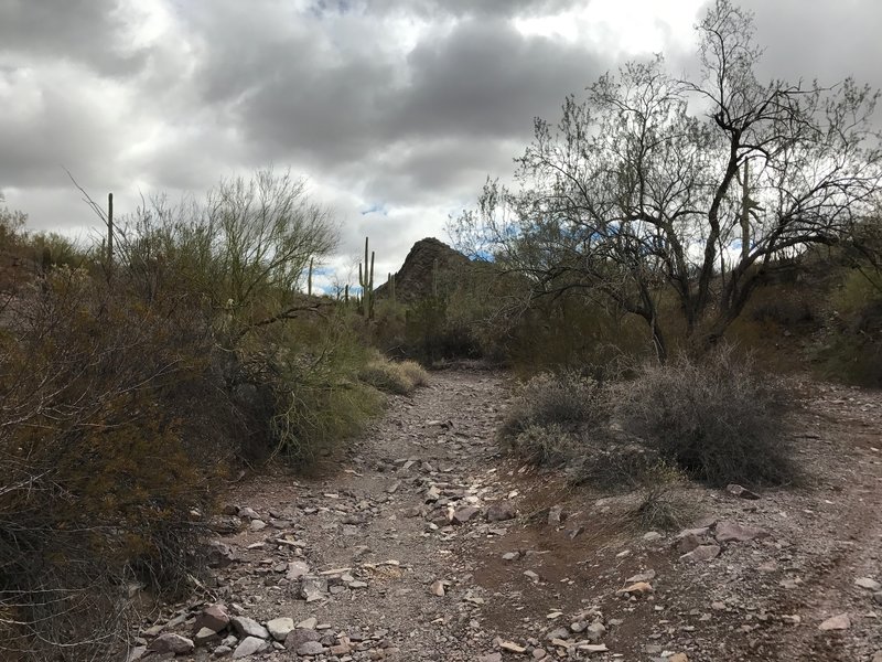 Ride the creek bed