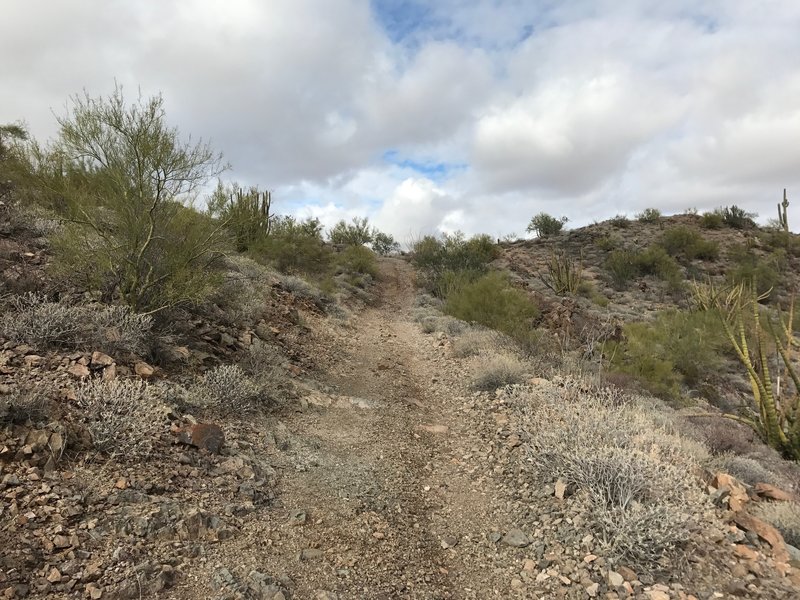 Looking up at the start of the "descent".