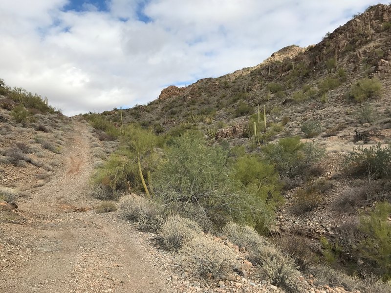 Looking back up the second half of the "descent".