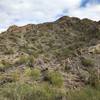 Organ Pipes dot the hillsides.