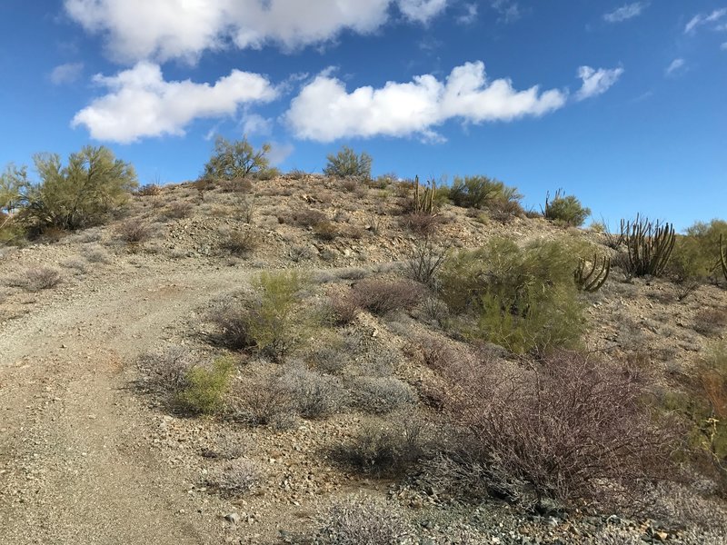 Up the steep hill on Sumpin' Specialized.