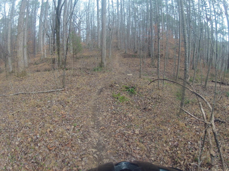 You'll join the main trail at the hard to see small bridge. A good reminder of the alternate trail on your way back through.