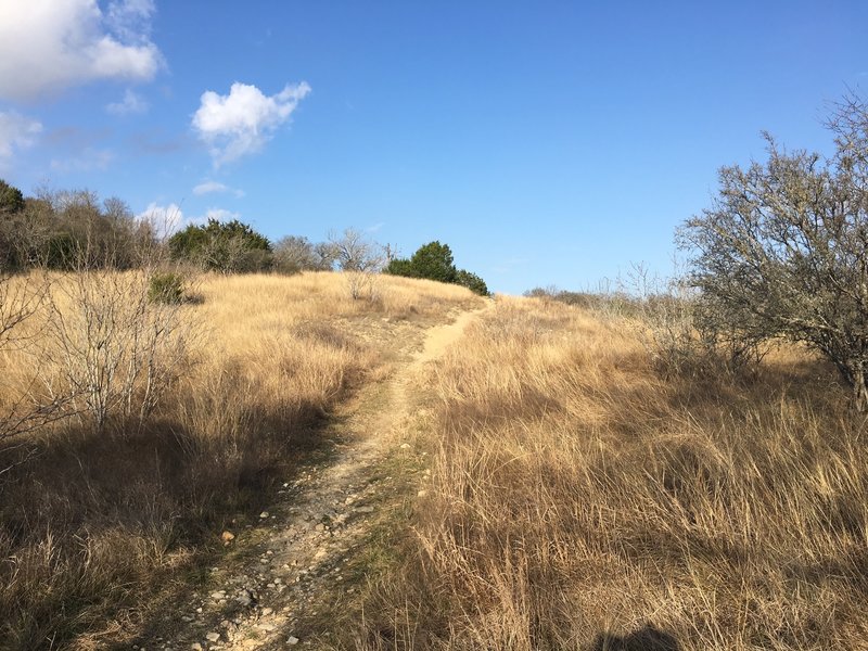 Uphill section of Garrick Creek Trail at the intersection of Coyote Run Trail.