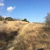 Uphill section of Garrick Creek Trail at the intersection of Coyote Run Trail.