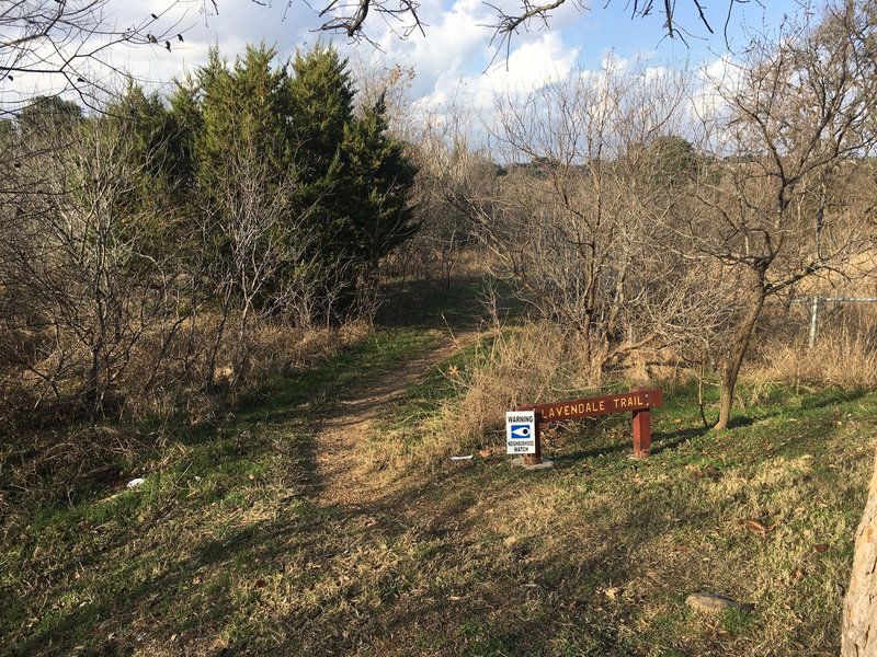 Trailhead at Lavendale Trail.