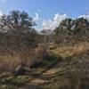 The smooth flowing singletrack of the Whistling Duck Trail.