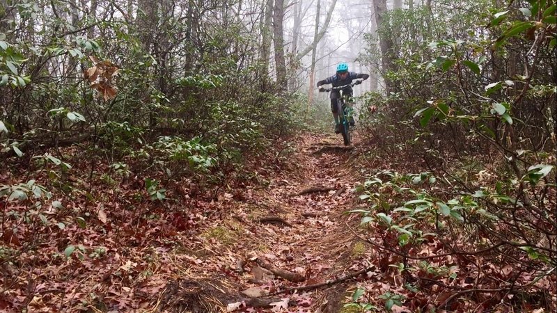 Winter ride on the Wild Oak Trail.