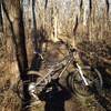 Time for a bike-lean photo on the Bluff View Trail, Eureka, MO