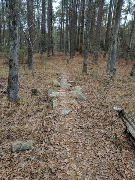 Rock Feature on the north end of the Bartram Trail.