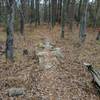 Rock Feature on the north end of the Bartram Trail.