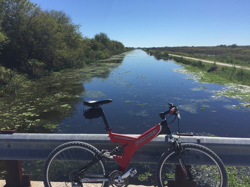 View from the bridge on the Lake Apopka Loop Trail.