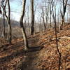 This is looking up Reggae Trail along the mini climb right before the new sequence of jump-turn-jump.